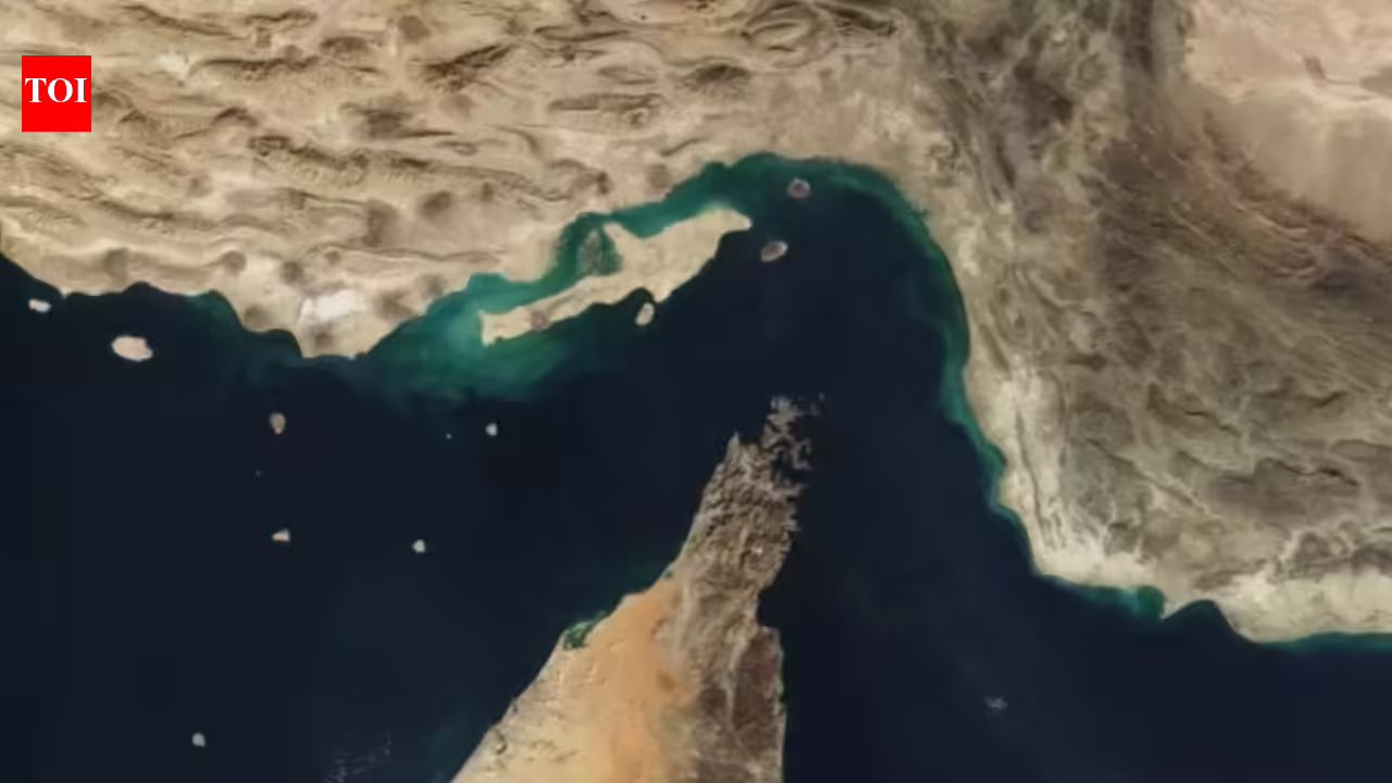 Strait of Hormuz toll? Iran to demand crypto payment from shipping firms – report