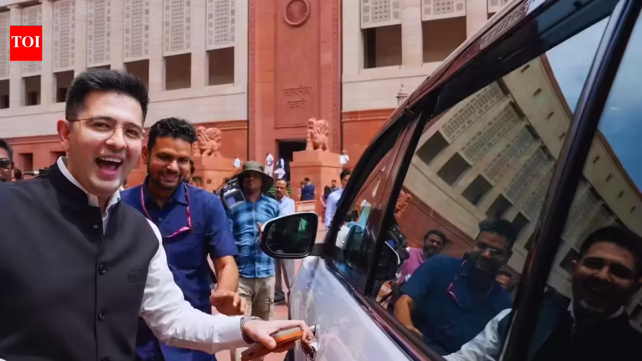 ‘Interesting thought’: Raghav Chadha hints at own political party. Delhi News