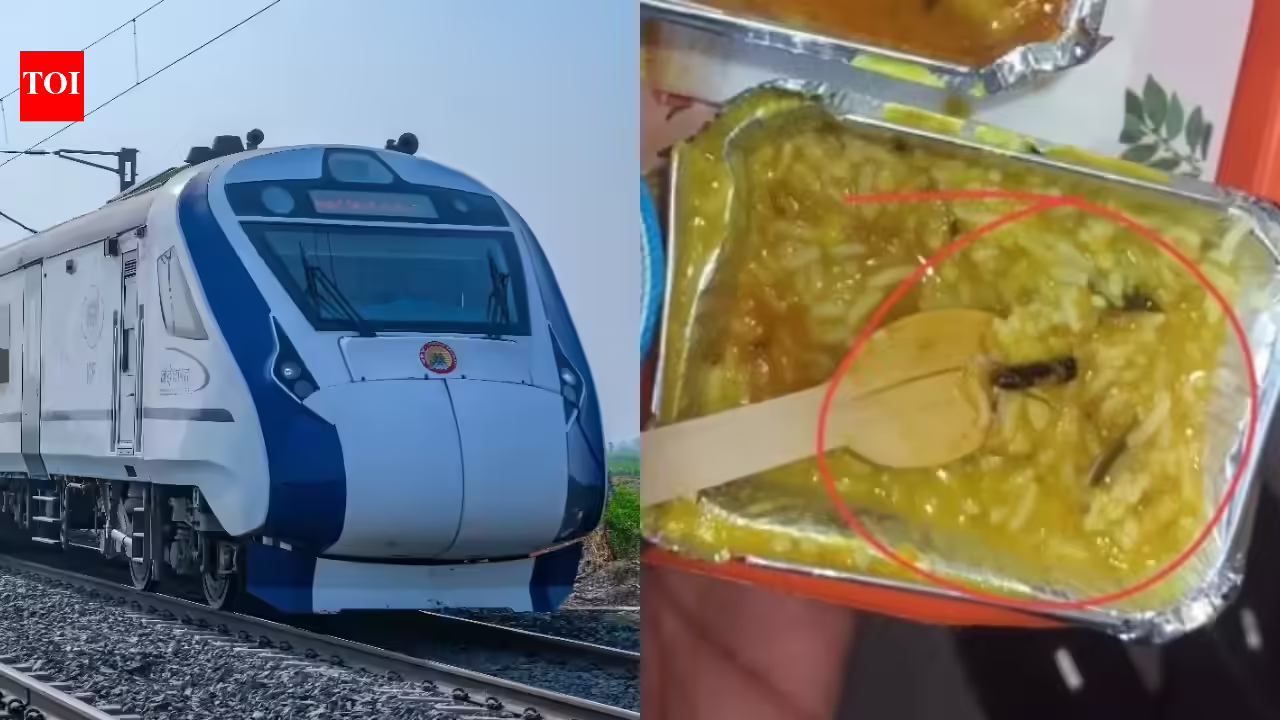 Vande Bharat Trains: Insect in train food, IRCTC fines vendor Rs 10 lakh: 3 key reasons for such contaminations and safety measures to follow with train food