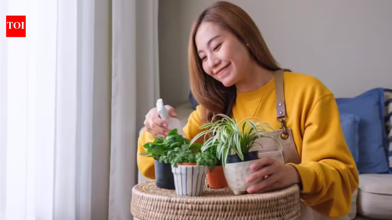 Struggling to keep your indoor plants alive? Gardening expert reveals 5 houseplants that thrive with minimal care, are almost impossible to kill and perfect for beginners