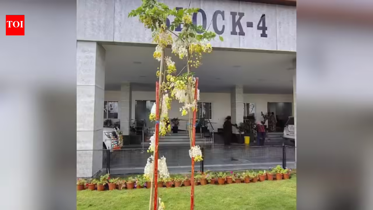 Cassia Fistula is now cynosure of Amaravati. Vijayawada News