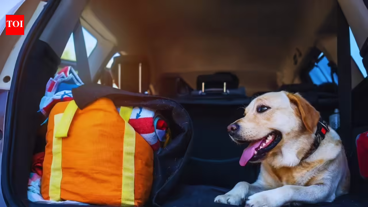 International Pet Day 2026: Best pet-friendly stays in Uttarakhand you can check out with your pets |