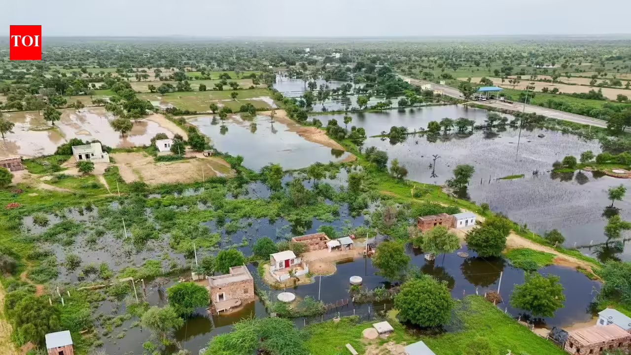 RPCB plans scientific cleanup of Jojari river, focus on industrial waste. Jaipur News