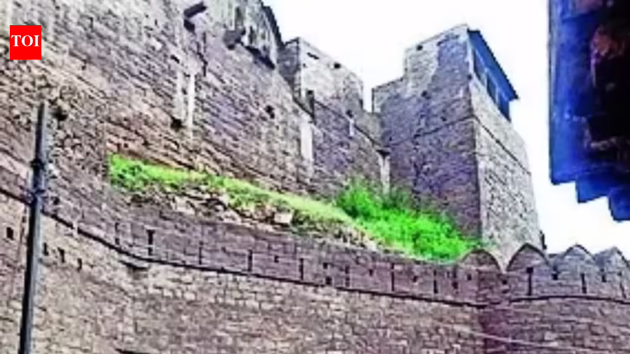 Bhopal Treasure Hunters: ‘Treasure hunters’ dig a 20-ft deep tunnel inside ASI-protected site in MP | Bhopal News