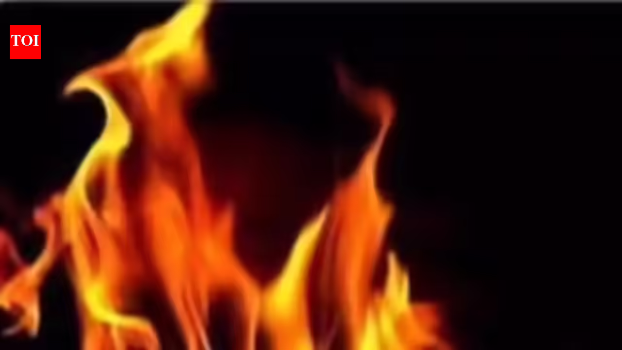 3 killed in Andhra Pradesh gas cylinder blast, houses destroyed Visakhapatnam News