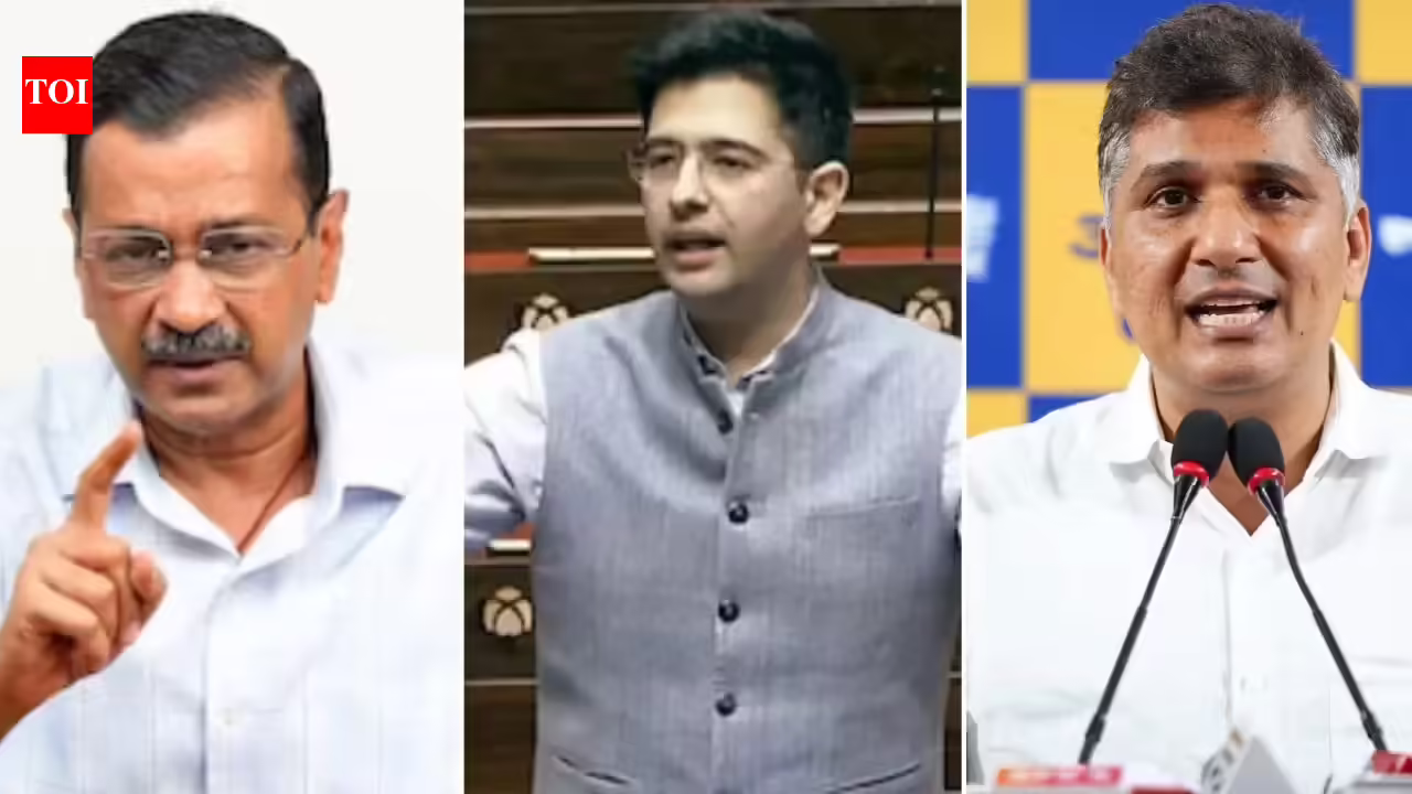 Z security, ED raids row: AAP-Raghav Chadha faceoff turns ugly; BJP piles on. India News