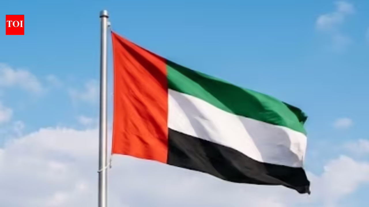 UAE schools to resume in-person learning from April 20 with hybrid option for private institutions. world news