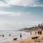 Beach worms: The hidden creatures under your feet that will change how you see the beach.