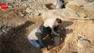 Turkey Discovery: 11,000-year-old structure found in Turkey reveals early human life. world news