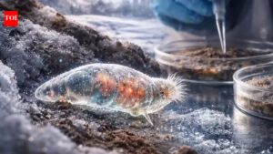 24,000-year-old microscopic creature brought back to life after being frozen in Siberian ice |