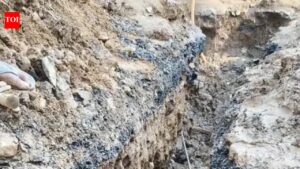 ‘Reckless’ shortcuts? PNG rush hitting water & sewer lines: MCG | Gurgaon News