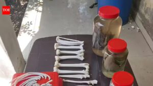 Gurgaon gets a wildlife center to preserve animal carcasses. Gurgaon News