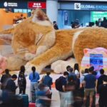 This airport has a giant cat—and travelers can’t stop admiring it! |