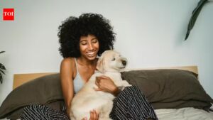 UK pet owners may soon need vet prescriptions for flea treatments as studies link them to river pollution