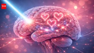 Scientists create a ‘light switch’ for the love hormone: How it could change how humans love and form bonds.