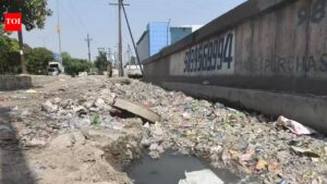 Noida’s industry hub has a yearlong problem: Not protests, it’s filth. Noida News
