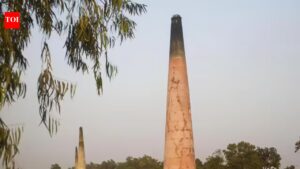 ‘Halt op if clearance missing’: NGT orders HSPCB checks on Rewari brick kiln. Gurgaon News