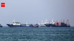 ‘Targeting commercial shipping unacceptable’: India urges safe navigation through Strait of Hormuz at UN | India News