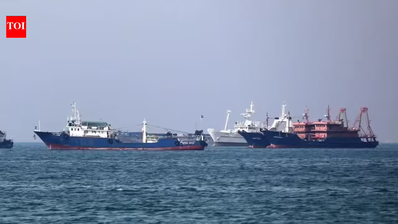 ‘Targeting commercial shipping unacceptable’: India urges safe navigation through Strait of Hormuz at UN | India News