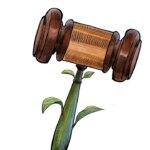 No license, no jail? What the new law really means