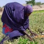 Nigeria Faces Brutal Heatwave Amid Rising Fuel Costs Due to Iran War | world news