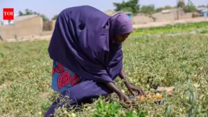 Nigeria Faces Brutal Heatwave Amid Rising Fuel Costs Due to Iran War | world news