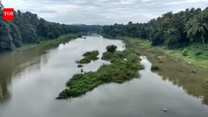 Kunthipuzha: The silent river of India flowing through Kerala’s untouched wilderness.