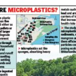 Scientific study finds microplastics in Bhitarkanika ecosystem. Bhubaneswar News