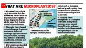Scientific study finds microplastics in Bhitarkanika ecosystem. Bhubaneswar News