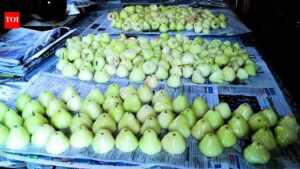 Local summer fruits, wild berries burn hole in pocket | Goa News