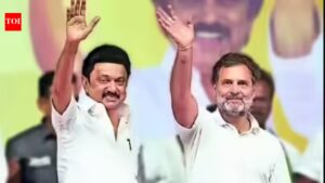 Rahul, Stalin unlikely to share stage during poll campaign on Saturday. chennai news