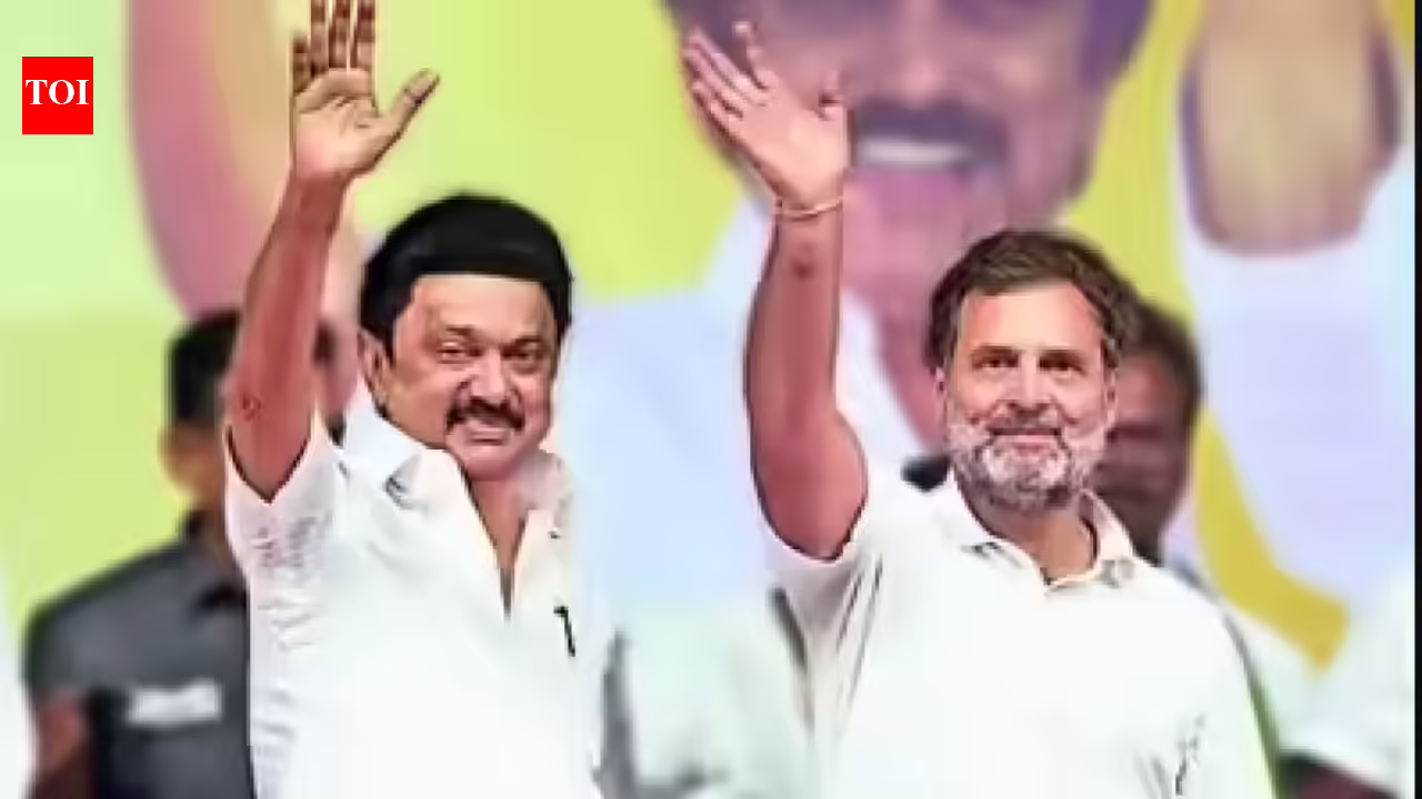 Rahul, Stalin unlikely to share stage during poll campaign on Saturday. chennai news