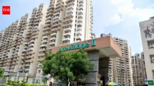Repair in 30 days, panel tells builder after seepage in Greater Noida flat | Noida News
