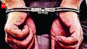 Man stabs partner’s mother to death for opposing relationship, held | Noida News