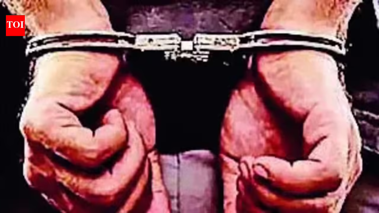 Man stabs partner’s mother to death for opposing relationship, held | Noida News