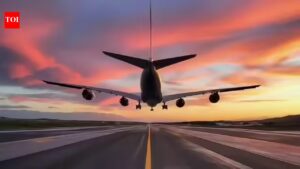 IAF incident on Pune runway temporarily halts ops at airport. India News