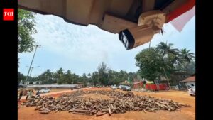 Tight security, but no fair at Shirgao Jatra beginning Tue. Goa News