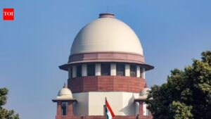 Invoke preventive detention against sand mafia, says Supreme Court. India News