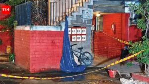 Man Stabs To Death In Delhi: Father-son duo stabbed to death in south Delhi’s Alaknanda, neighbor on run | Delhi News