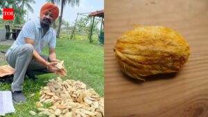 Mangoes: Why this 52-year-old man from Kolkata is called India’s Gutli Man and what is his connection with the mangoes of Bengal
