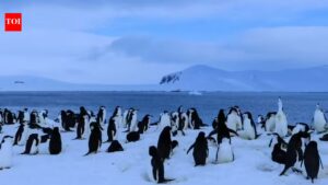 Antarctica has no cities, no people, and no permanent life: Here’s why humans can’t stay there forever. world news