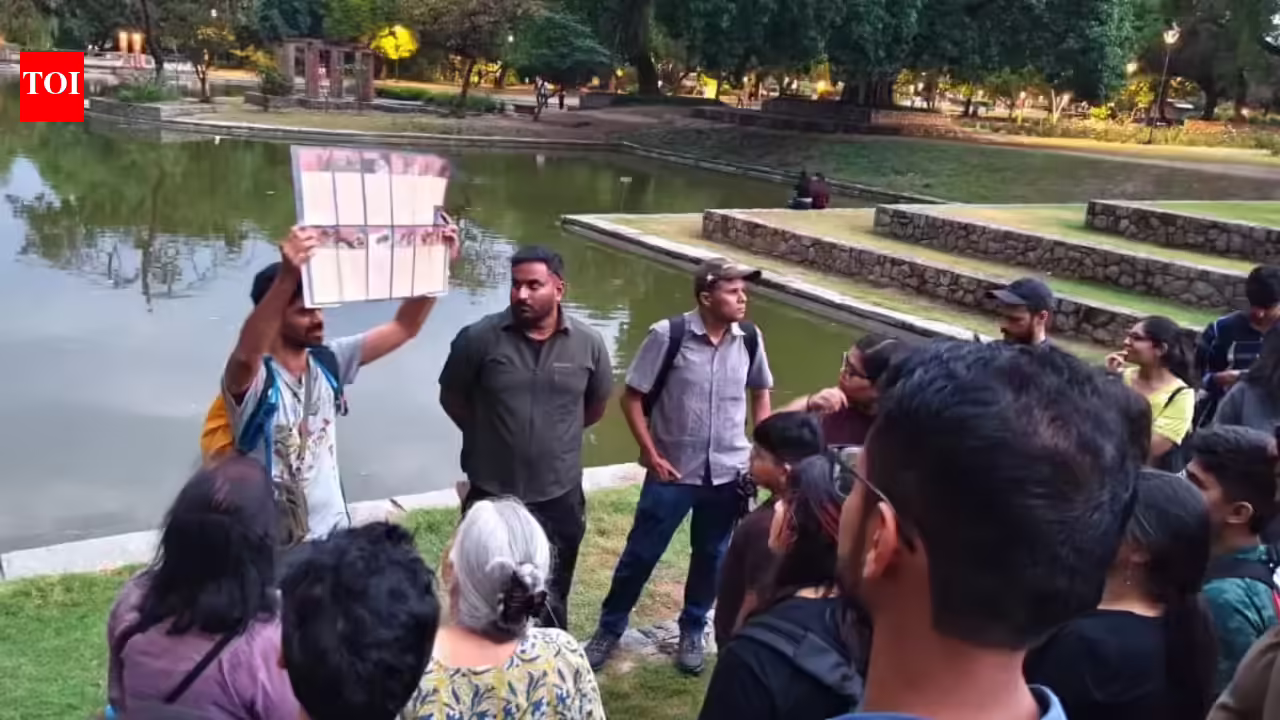 NCR gets its first bat field publication; Delhiites attend a bat walk in Sunder Nursery | Delhi News