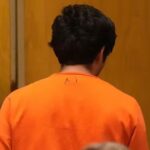 ‘Anti-Al’ attacker who tried to murder OpenAI CEO Sam Altman found ChatGPT ‘awesome’ because…