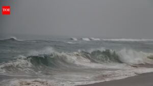 SAND, SEA & PERIL | Bhubaneswar News