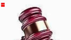 Child shouldn’t bear cost of parental discord, says court dismissing plea against maintenance order. Delhi News