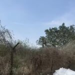 All done except revised wages: Minister on 18-month waste tender delay in Gurgaon | Gurgaon News