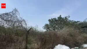 All done except revised wages: Minister on 18-month waste tender delay in Gurgaon | Gurgaon News