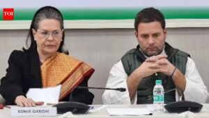 Court seeks Sonia Gandhi’s reply in voter list case, next hearing on May 16 | India News