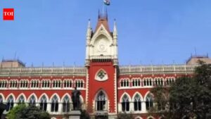EC to challenge High Court’s professor poll duty order before division bench. India News