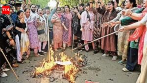 NDA looks to spin Lok Sabha defeat into win with women voters. India News